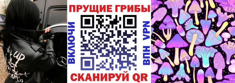 Купить закладки  Лесосибирск  Галлюциногенные грибы MAGIC MUSHROOMS 